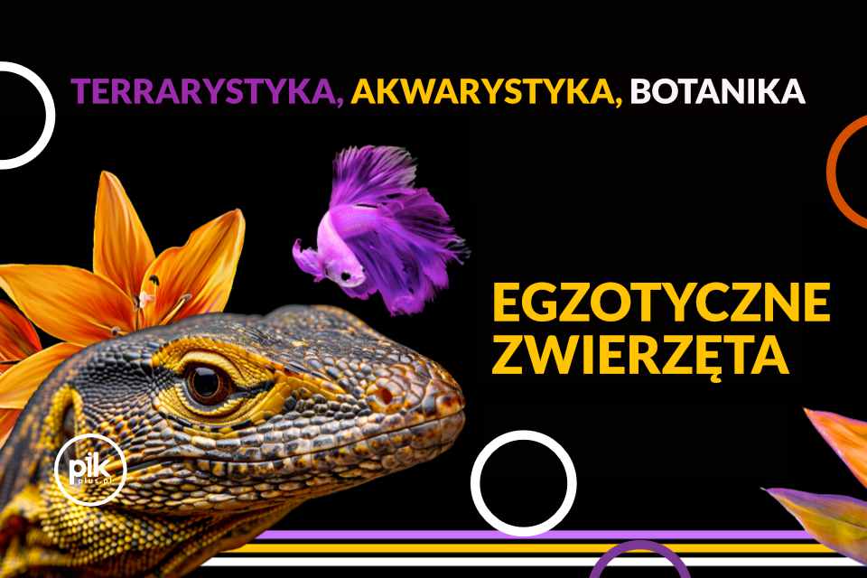 Targi Egzotyczne Zwierzęta w Lublinie